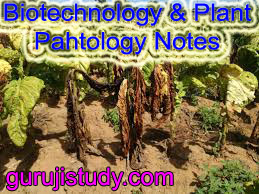 BSc Biotechnology and Plant Pathology Notes Study Material
